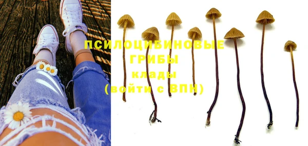 индика Абдулино