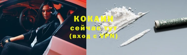 индика Абдулино