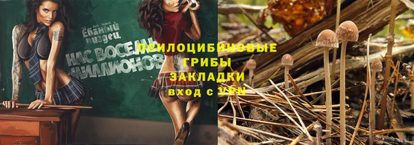 не бодяженный Абаза