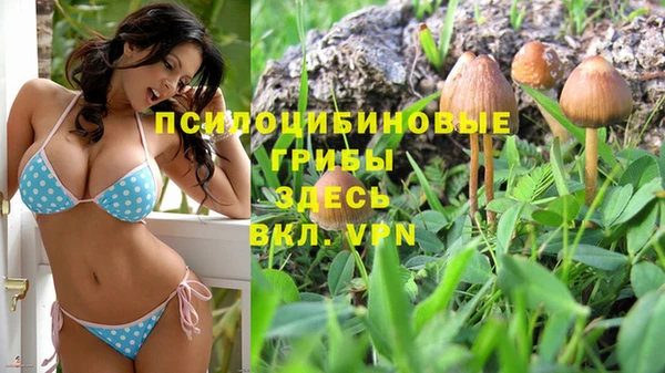 прущие грибы Алексин