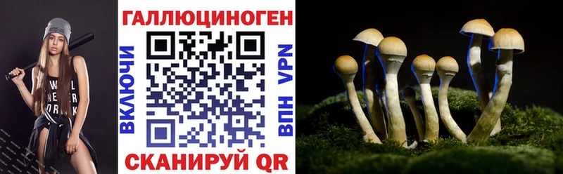 сайты даркнета какой сайт  Истра  Галлюциногенные грибы мицелий 