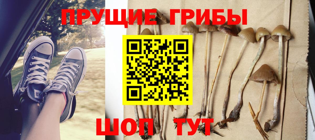 Псилоцибиновые грибы прущие грибы  Псилоцибиновые грибы ЛСД  Истра  Вход с VPN 